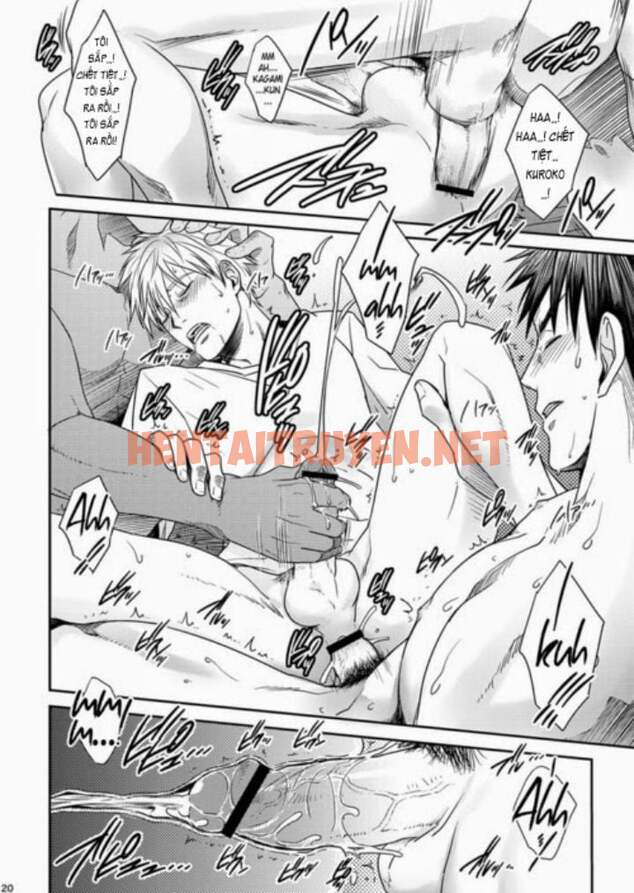 Xem ảnh [18+] Kuroko No Basuke Dj – Vanilla Shake - Chap 1 - img_017_1693075131 - HentaiTruyenVN.net