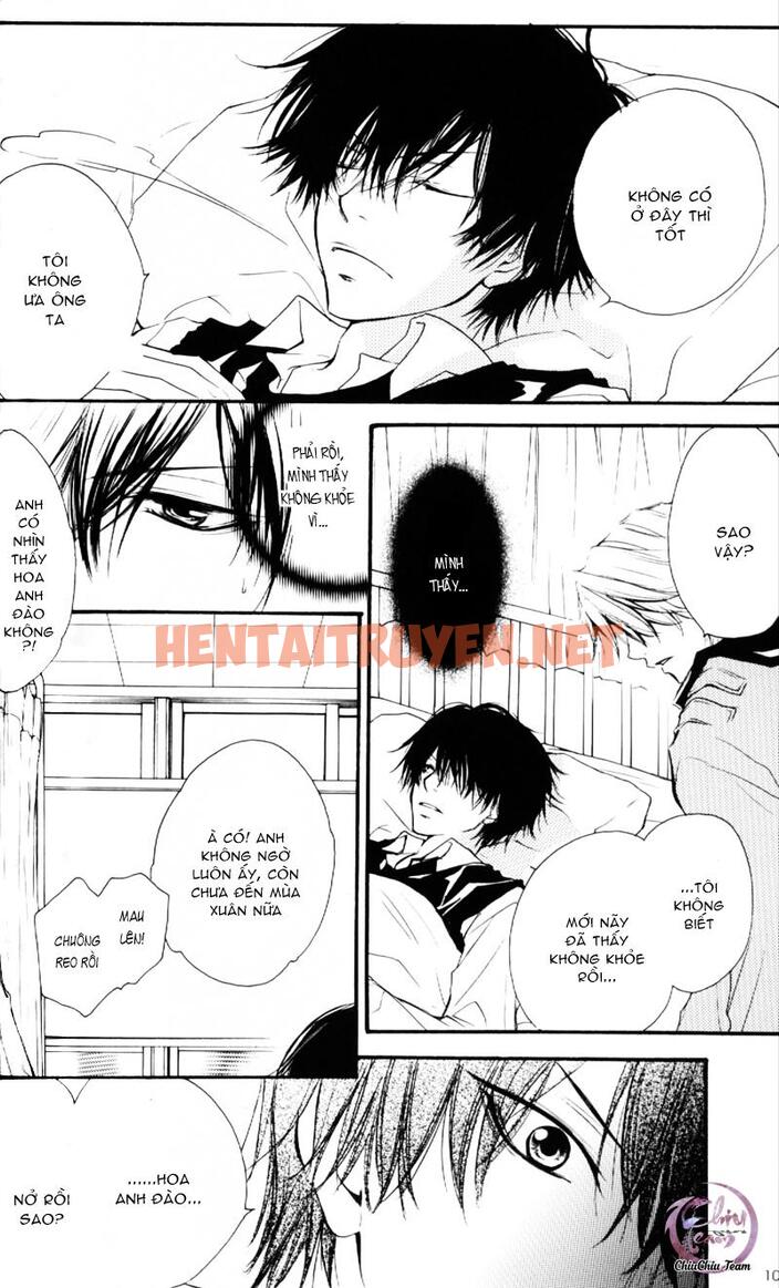 Xem ảnh [Doujinshi Khr] D18 Rigenerare (Allodola Xxx) - Chap 1 - img_008_1671278708 - HentaiTruyen.net