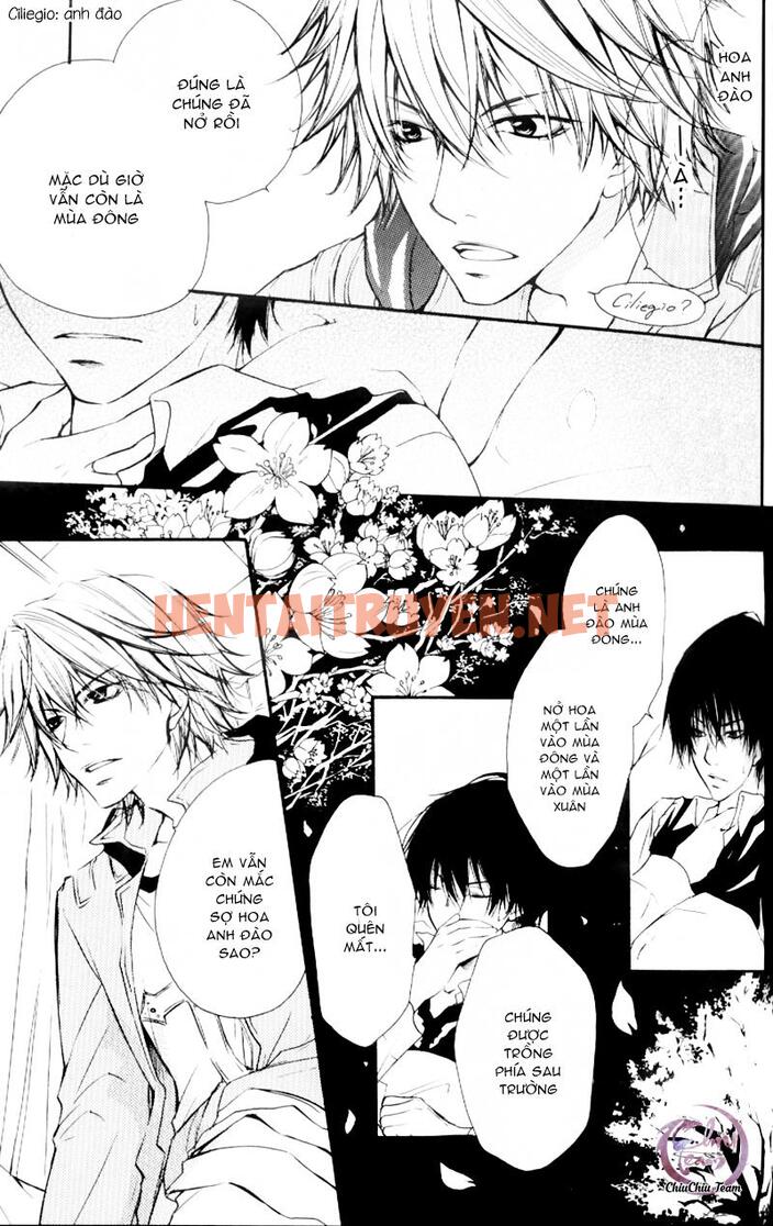 Xem ảnh [Doujinshi Khr] D18 Rigenerare (Allodola Xxx) - Chap 1 - img_009_1671278710 - TruyenVN.APP