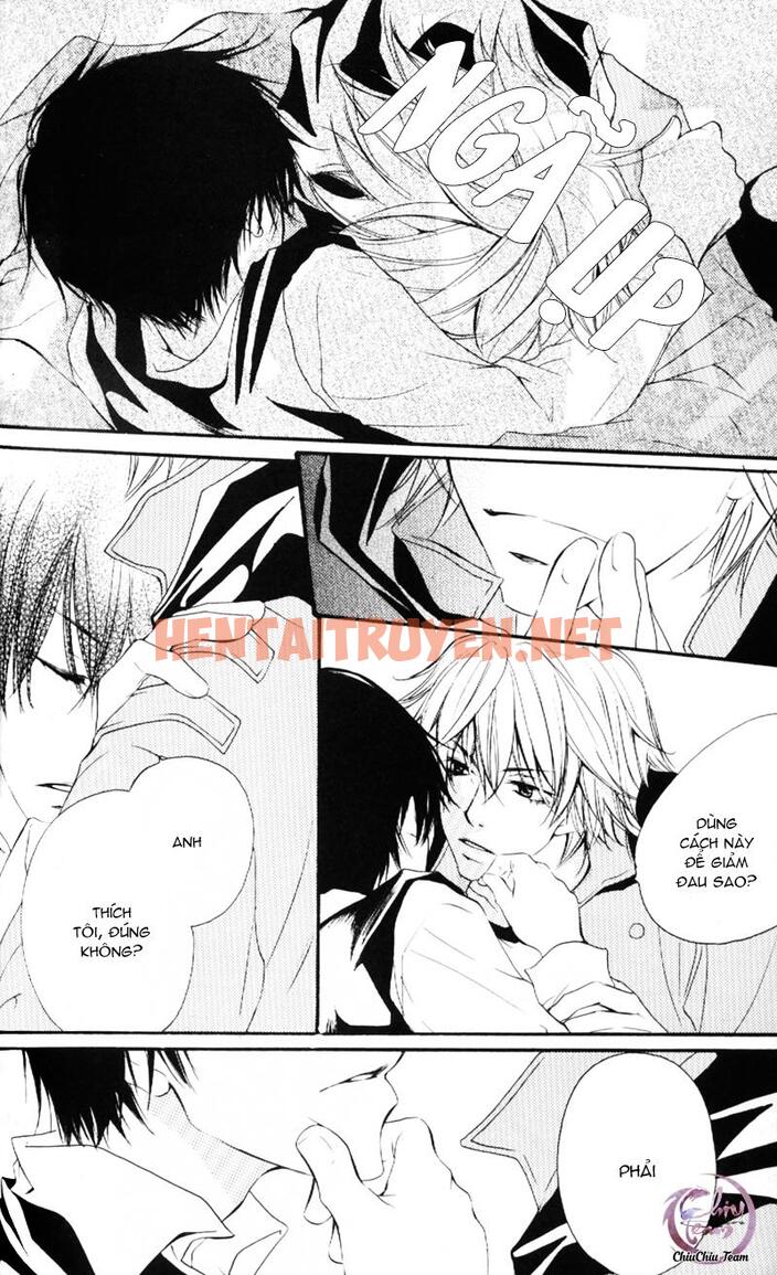 Xem ảnh [Doujinshi Khr] D18 Rigenerare (Allodola Xxx) - Chap 1 - img_012_1671278717 - HentaiTruyen.net