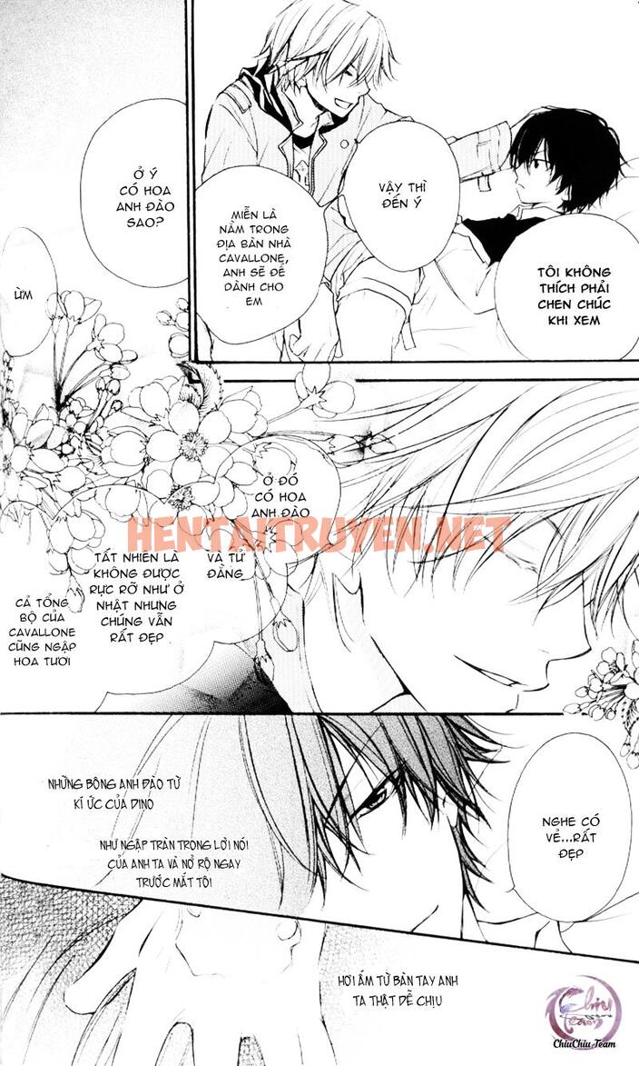 Xem ảnh [Doujinshi Khr] D18 Rigenerare (Allodola Xxx) - Chap 1 - img_018_1671278730 - HentaiTruyen.net