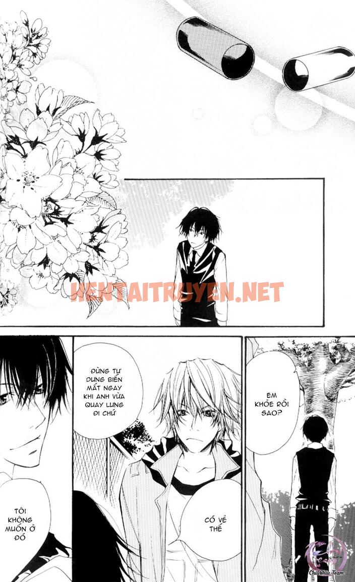 Xem ảnh [Doujinshi Khr] D18 Rigenerare (Allodola Xxx) - Chap 1 - img_022_1671278739 - HentaiTruyenVN.net