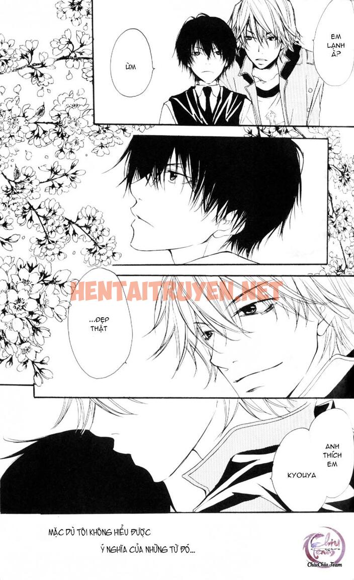 Xem ảnh [Doujinshi Khr] D18 Rigenerare (Allodola Xxx) - Chap 1 - img_023_1671278742 - HentaiTruyen.net