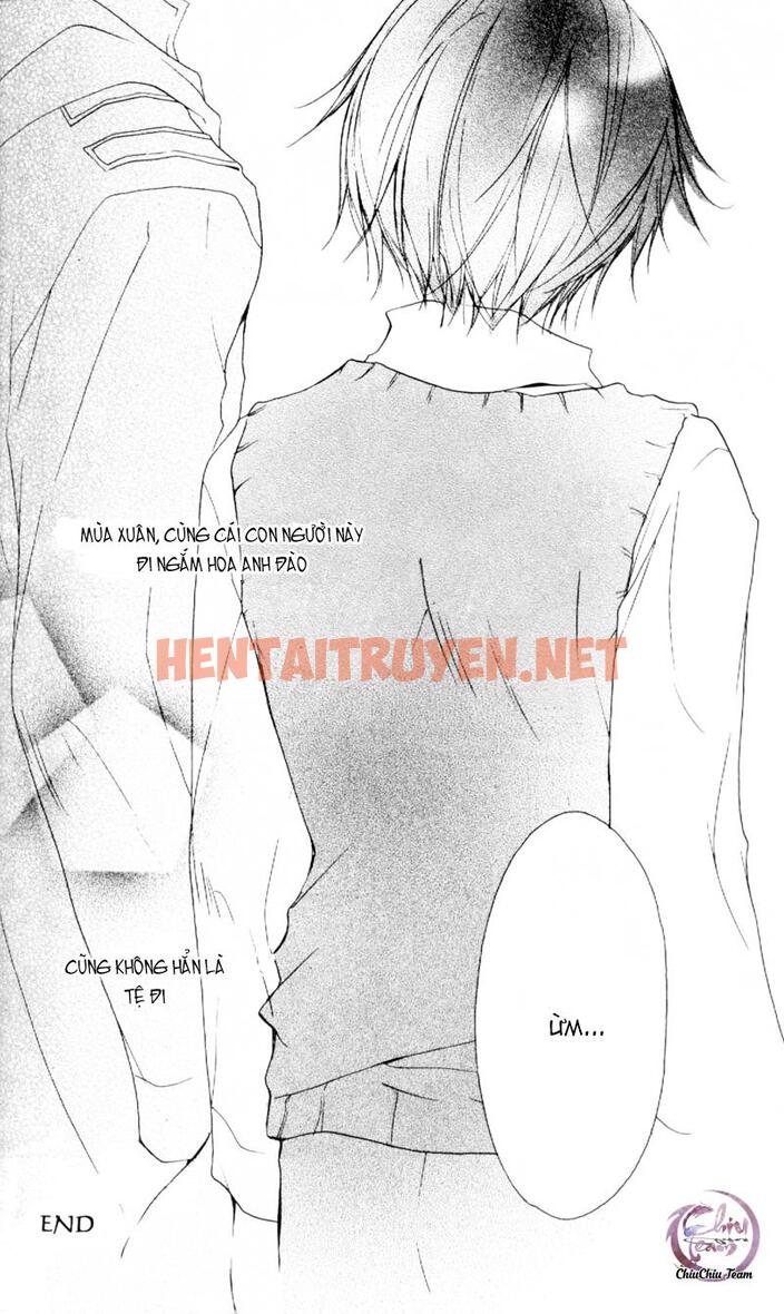 Xem ảnh [Doujinshi Khr] D18 Rigenerare (Allodola Xxx) - Chap 1 - img_024_1671278744 - HentaiTruyen.net