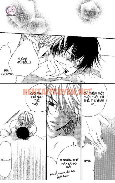 Xem ảnh [Doujinshi Khr] D18 Rigenerare (Allodola Xxx) - Chap 2 - img_011_1671278669 - TruyenVN.APP