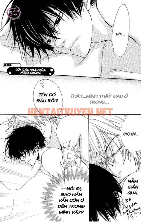 Xem ảnh [Doujinshi Khr] D18 Rigenerare (Allodola Xxx) - Chap 2 - img_016_1671278679 - TruyenVN.APP