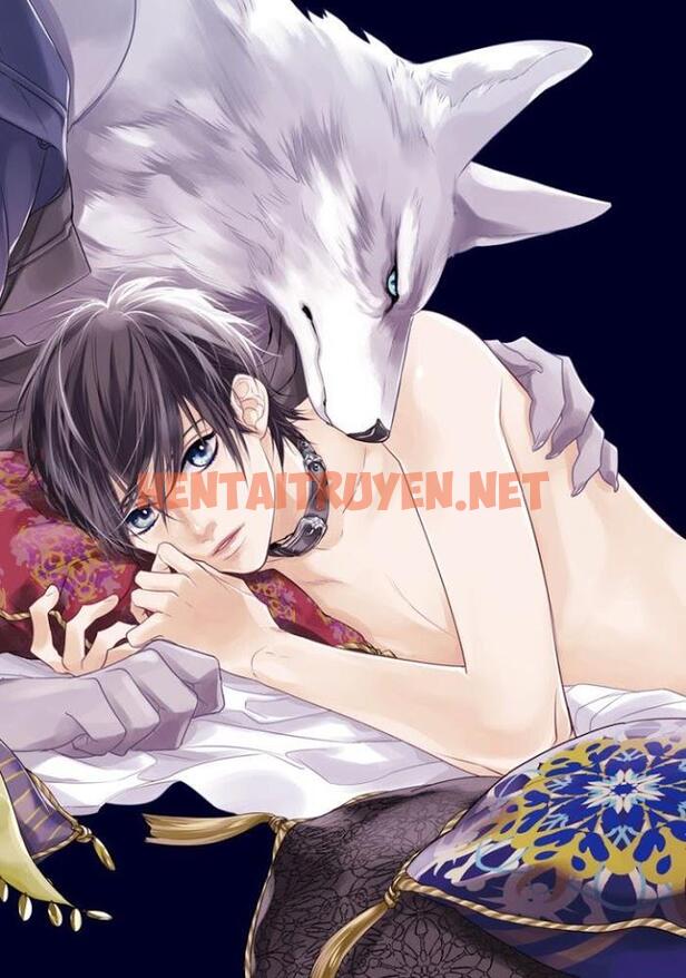 Xem ảnh [Full] Pendulum: Kemonohito Omegaverse - Chap 1 - img_002_1669799202 - HentaiTruyenVN.net