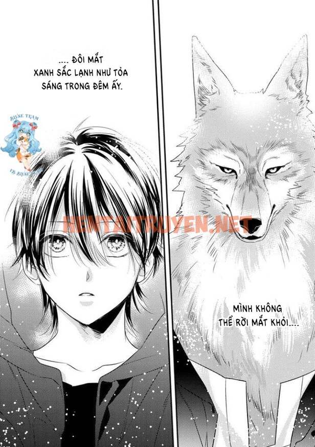 Xem ảnh [Full] Pendulum: Kemonohito Omegaverse - Chap 1 - img_011_1669799250 - HentaiTruyenVN.net