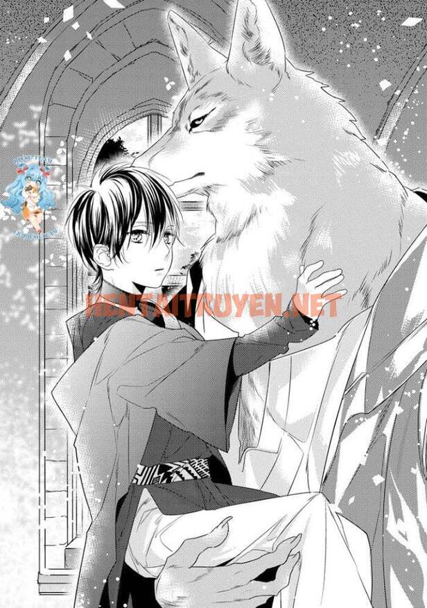 Xem ảnh [Full] Pendulum: Kemonohito Omegaverse - Chap 1 - img_012_1669799254 - HentaiTruyen.net