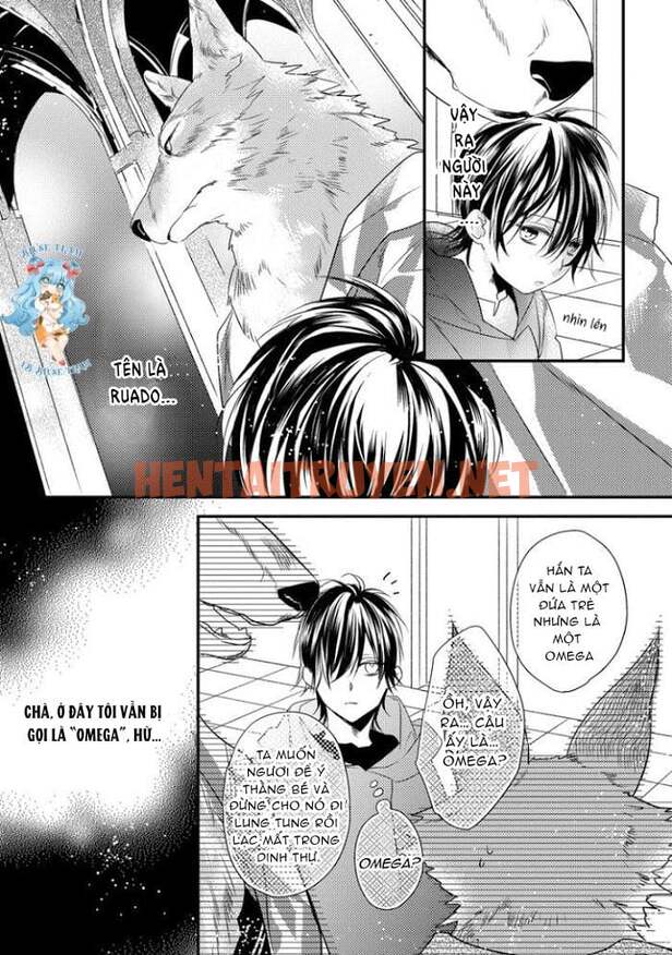 Xem ảnh [Full] Pendulum: Kemonohito Omegaverse - Chap 1 - img_015_1669799282 - HentaiTruyen.net