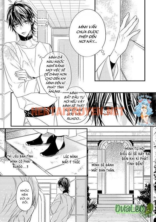 Xem ảnh [Full] Pendulum: Kemonohito Omegaverse - Chap 2 - img_012_1669798851 - HentaiTruyenVN.net