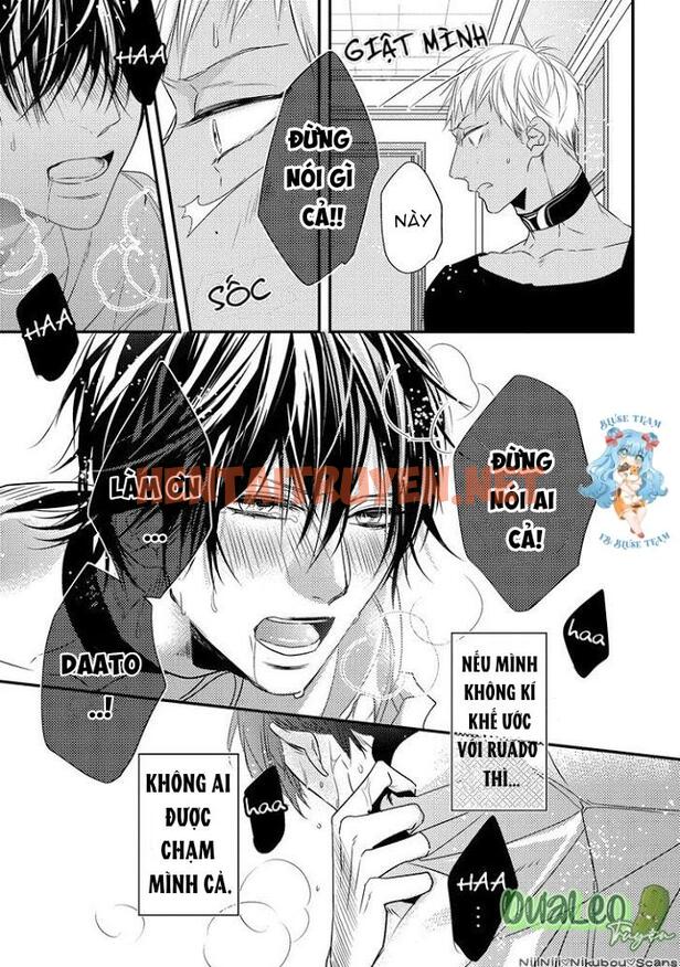 Xem ảnh [Full] Pendulum: Kemonohito Omegaverse - Chap 2 - img_042_1669799188 - TruyenVN.APP