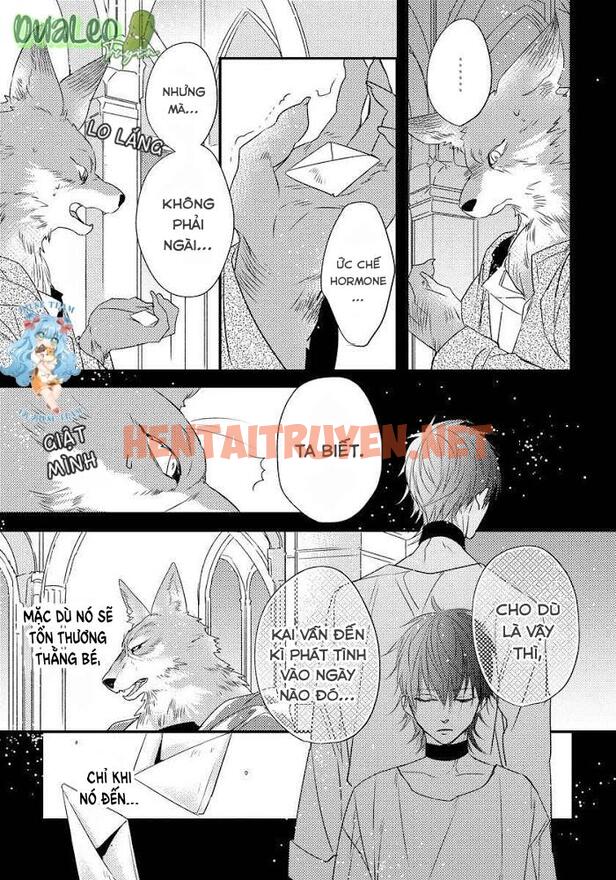 Xem ảnh [Full] Pendulum: Kemonohito Omegaverse - Chap 3 - img_010_1669798425 - HentaiTruyenVN.net