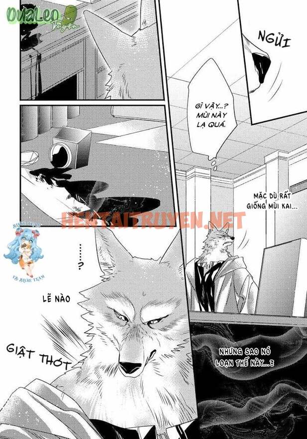 Xem ảnh [Full] Pendulum: Kemonohito Omegaverse - Chap 3 - img_015_1669798500 - HentaiTruyenVN.net