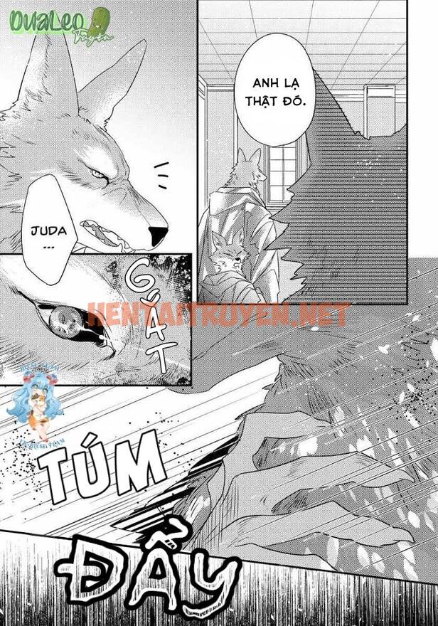 Xem ảnh [Full] Pendulum: Kemonohito Omegaverse - Chap 3 - img_016_1669798527 - HentaiTruyenVN.net