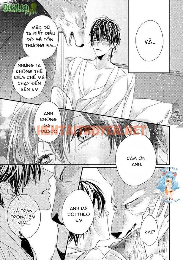 Xem ảnh [Full] Pendulum: Kemonohito Omegaverse - Chap 4 - img_024_1669798220 - HentaiTruyenVN.net