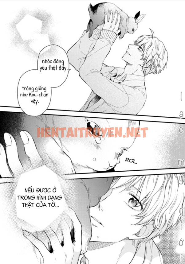 Xem ảnh Aitai Jou To Usagi No Yamai - Chap 3 - img_023_1636648815 - TruyenVN.APP