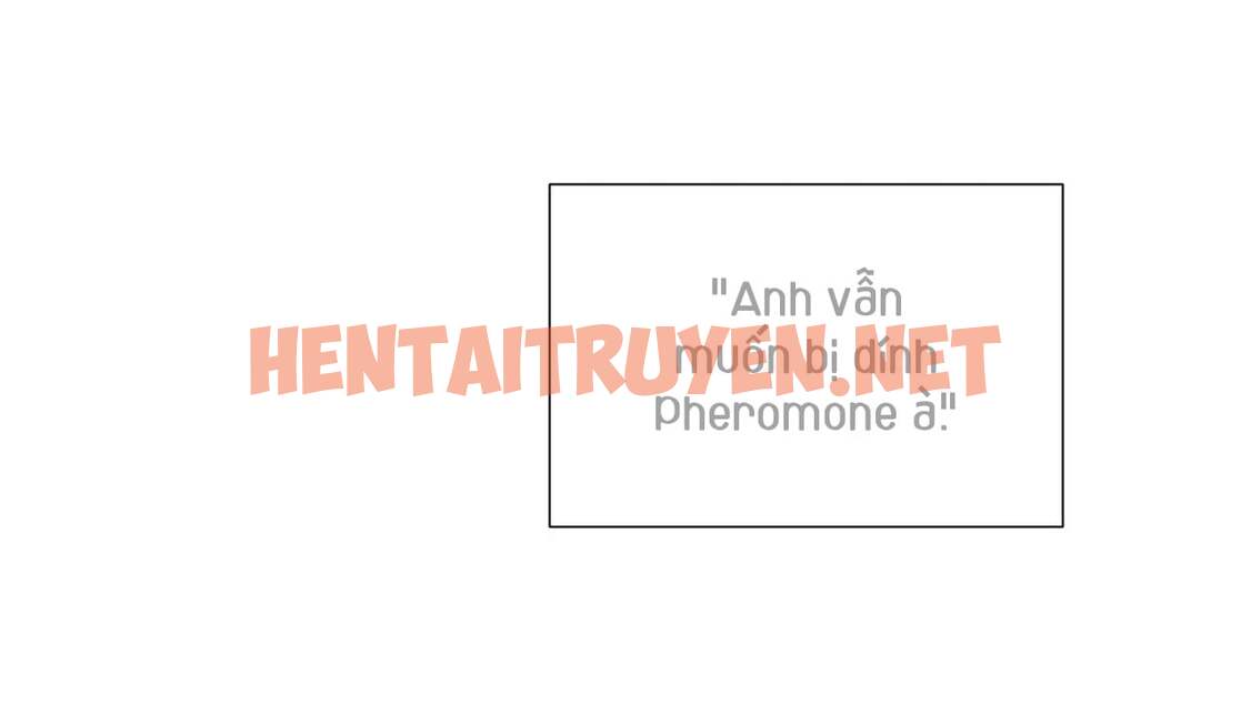 Xem ảnh Ám Ảnh Pheromone - Chap 20 - img_024_1653579601 - HentaiTruyen.net