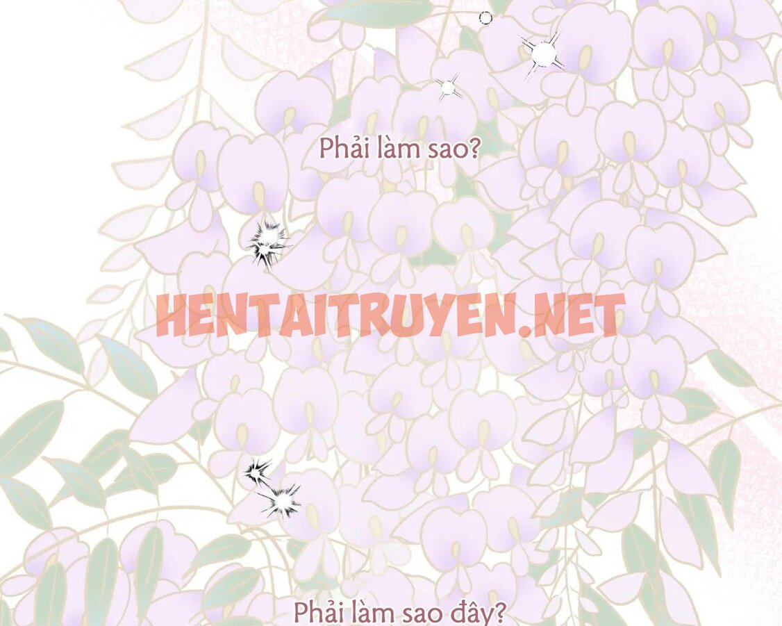 Xem ảnh Ám Ảnh Pheromone - Chap 65 - img_079_1689406021 - HentaiTruyen.net