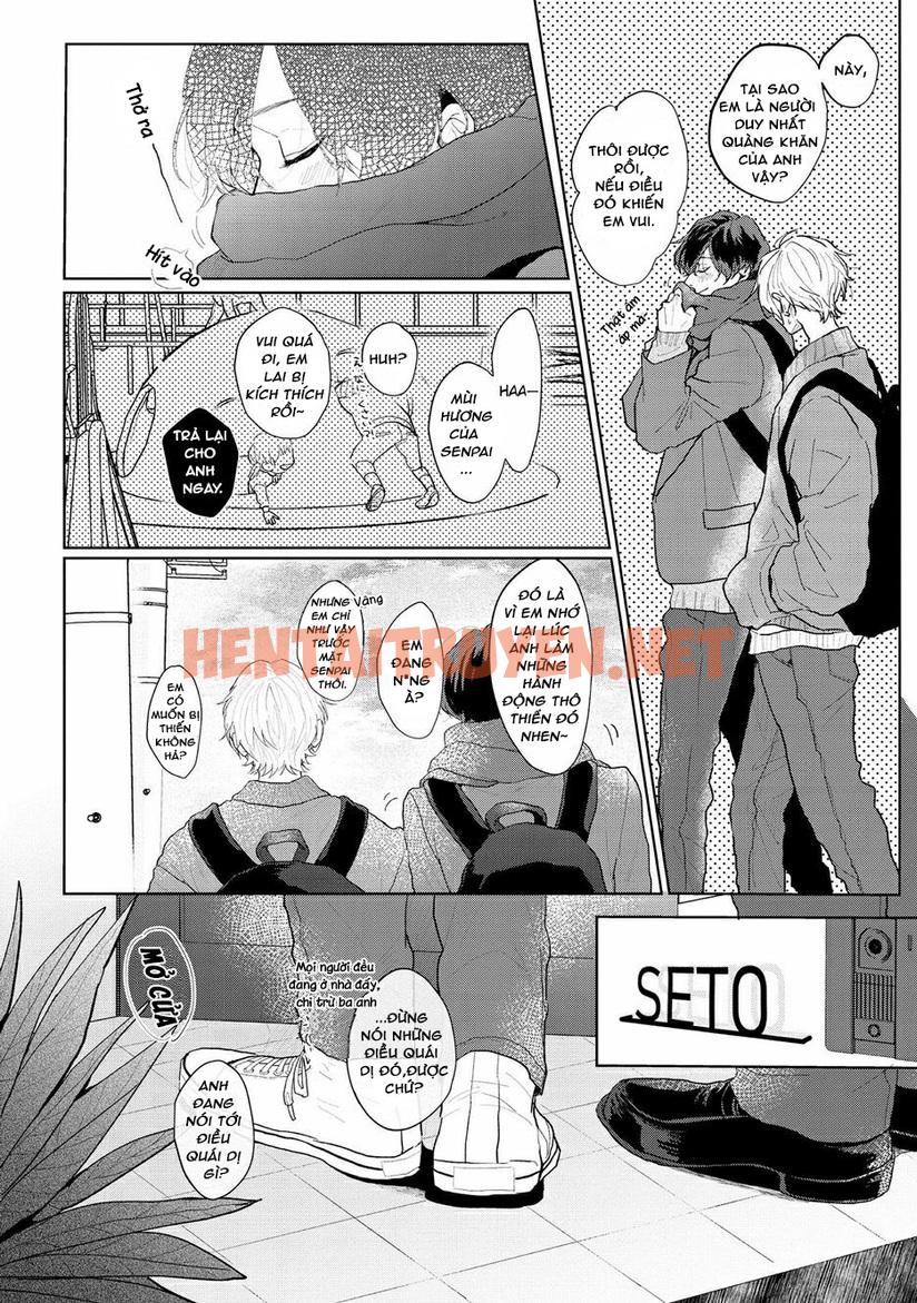 Xem ảnh Amaikoe Wa Saidai Volume De - Chap 3 - img_007_1632576635 - TruyenVN.APP