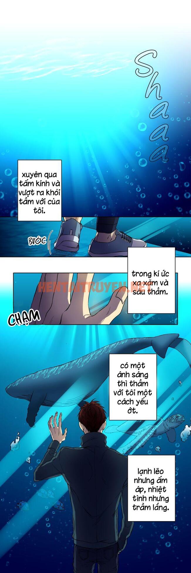 Xem ảnh Anglerfish - Chap 0 - img_002_1658371554 - TruyenVN.APP