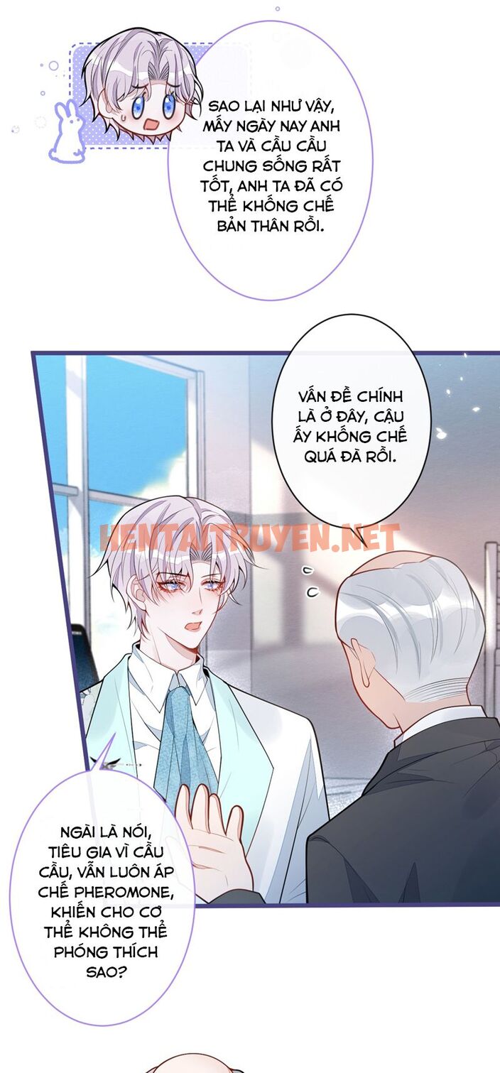 Xem ảnh Báo Ân Của Sói - Chap 44 - img_016_1698199728 - TruyenVN.APP