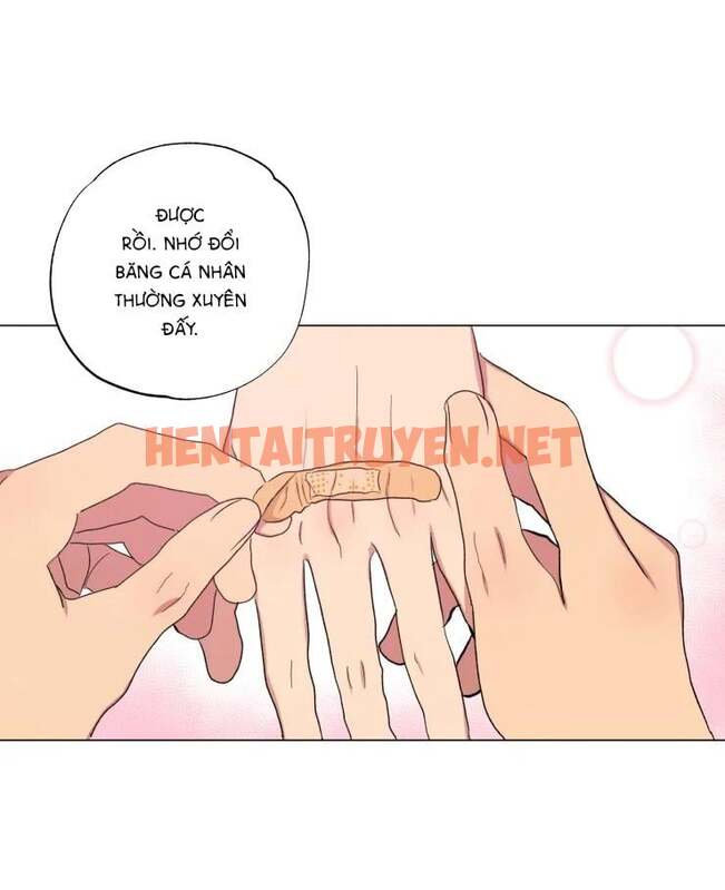 Xem ảnh Bắt Đầu Từ Việc Sống Chung - Chap 8 - img_024_1677309465 - HentaiTruyenVN.net