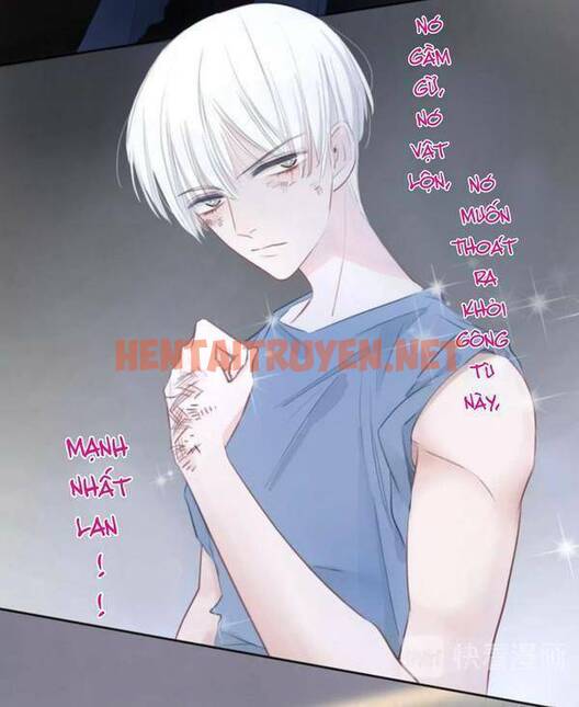 Xem ảnh Biểu Diện Quan Hệ Nam Đoàn - Chap 14 - img_018_1630168710 - TruyenVN.APP