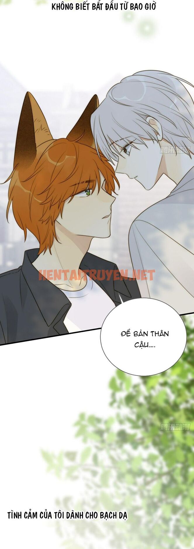 Xem ảnh Chỉ Có Đuôi Là Không Thể - Chap 33 - img_008_1677940957 - TruyenVN.APP