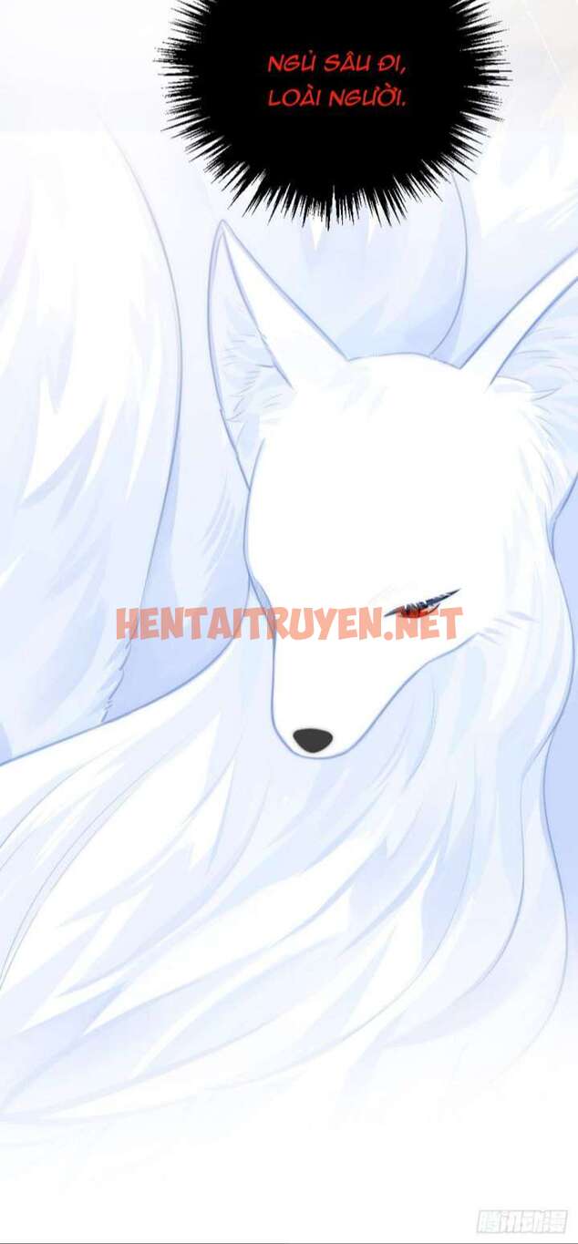 Xem ảnh Chỉ Có Đuôi Là Không Thể - Chap 8 - img_019_1673100413 - HentaiTruyenVN.net