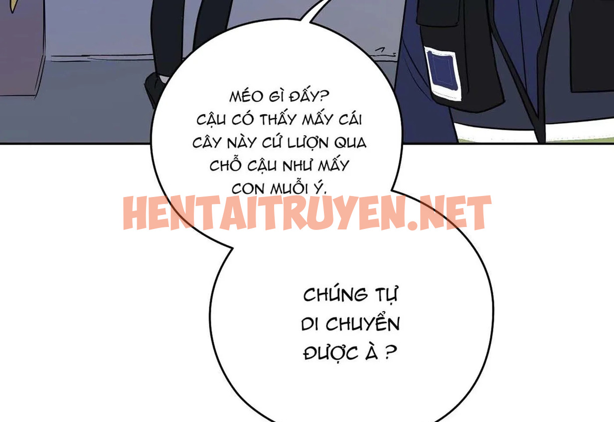 Xem ảnh Chuyện Quái Gì Với Giấc Mơ Đó Vậy? - Chap 23 - img_075_1647275922 - HentaiTruyen.net