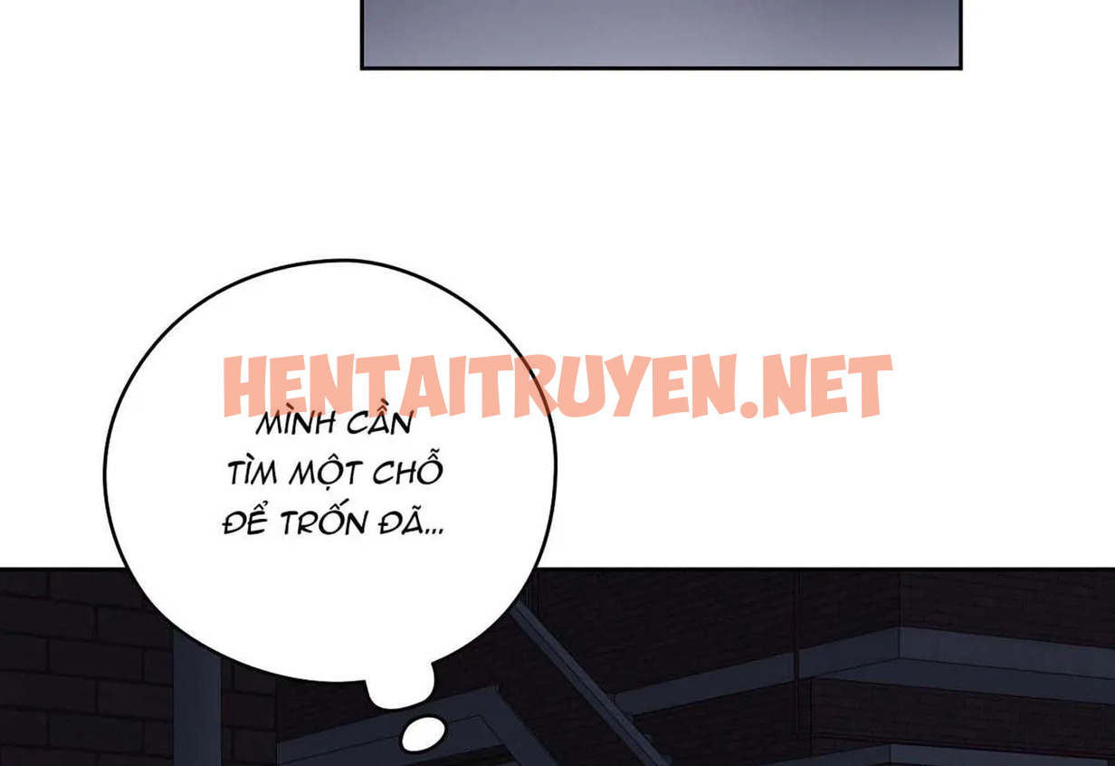 Xem ảnh Chuyện Quái Gì Với Giấc Mơ Đó Vậy? - Chap 23 - img_145_1647276004 - HentaiTruyen.net