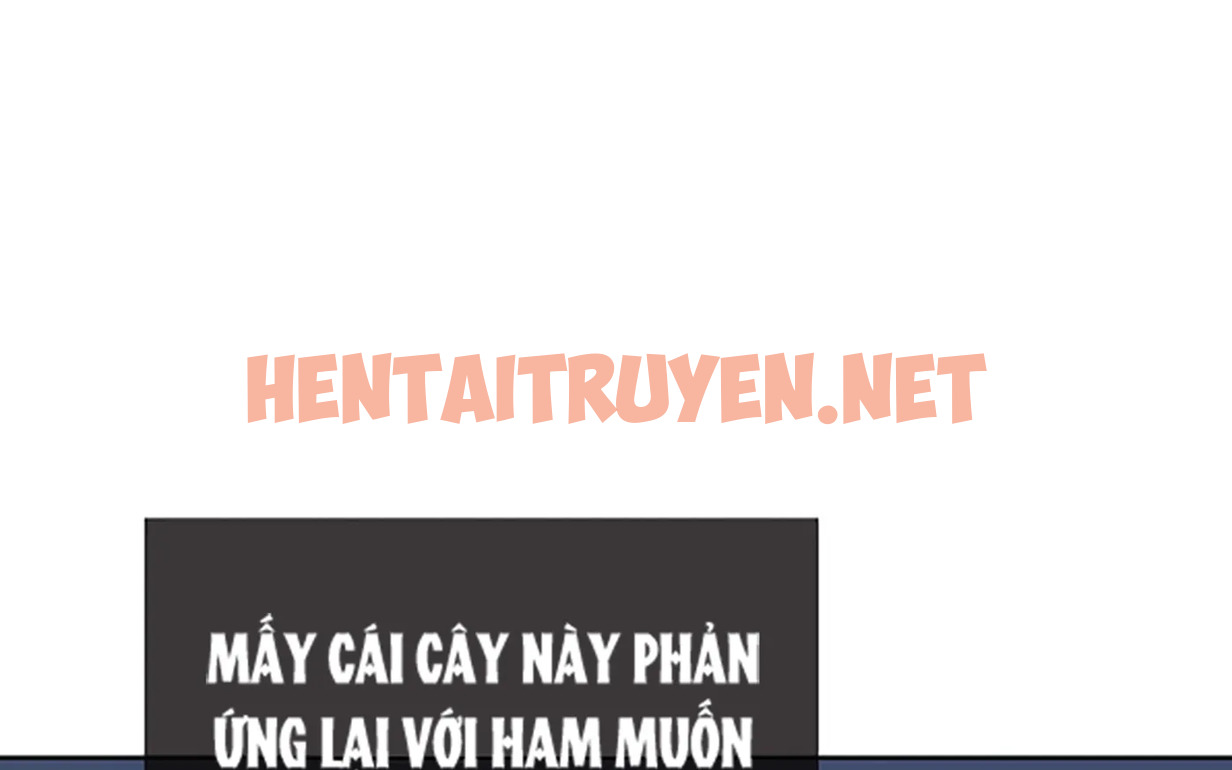 Xem ảnh Chuyện Quái Gì Với Giấc Mơ Đó Vậy? - Chap 25 - img_179_1647275540 - HentaiTruyen.net