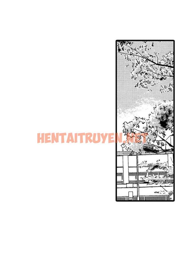 Xem ảnh Có Tin Đồn Saeki Muốn Yêu Đương Với Cậu Ta - Chap 1 - img_003_1694711245 - HentaiTruyenVN.net