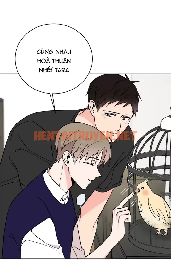 Xem ảnh Đảo Ngược Tình Thế - Chap 14 - img_065_1651742710 - HentaiTruyenVN.net