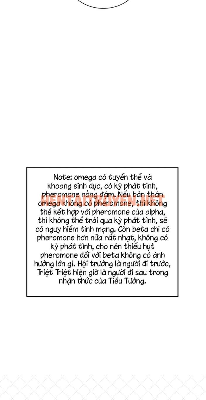 Xem ảnh Để Ý Tôi Chút Nào - Chap 41 - img_035_1685106968 - TruyenVN.APP