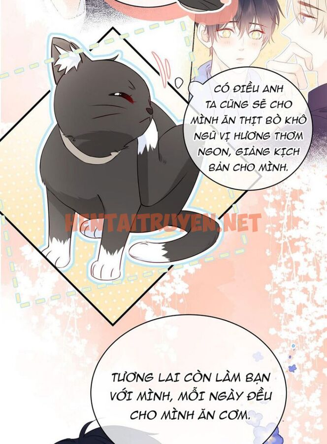 Xem ảnh Dinh Dưỡng Quá Tốt - Chap 12 - img_020_1649409839 - HentaiTruyen.net