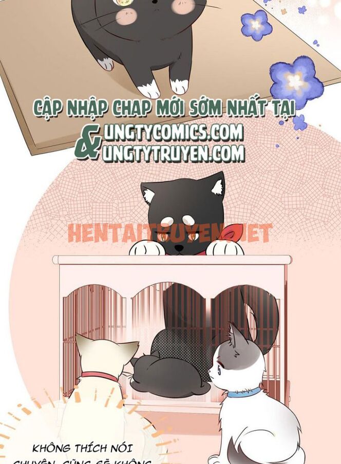 Xem ảnh Dinh Dưỡng Quá Tốt - Chap 12 - img_024_1649409846 - HentaiTruyen.net