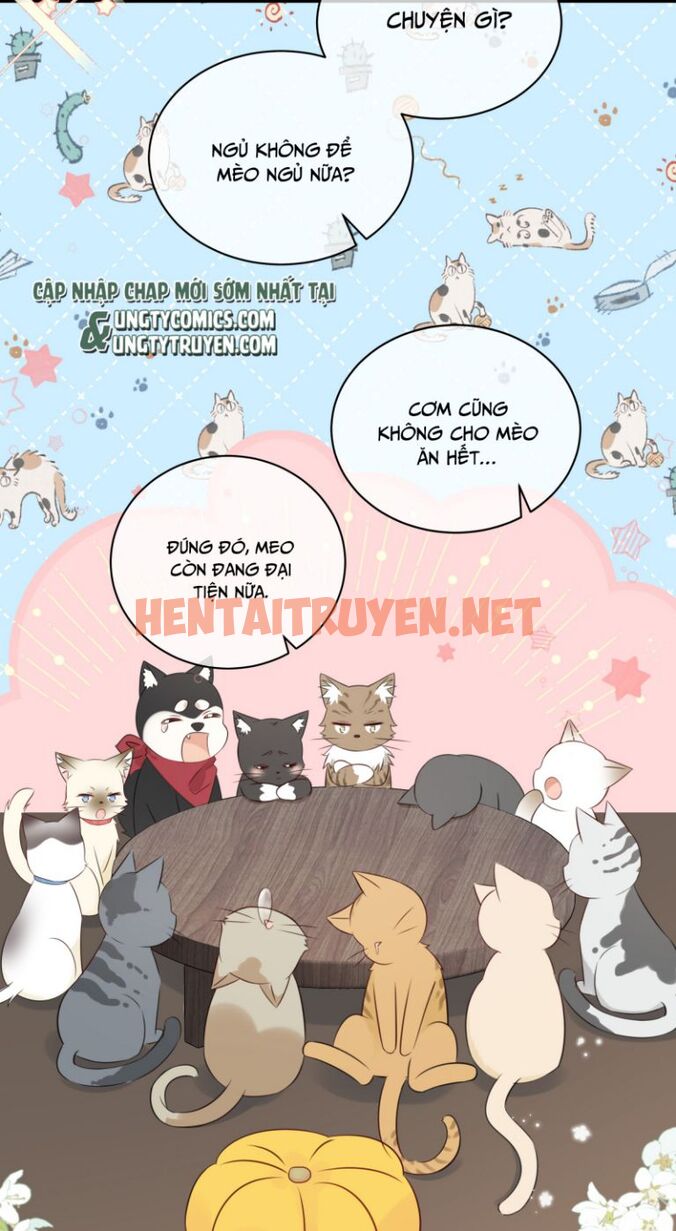 Xem ảnh Dinh Dưỡng Quá Tốt - Chap 27 - img_004_1659092790 - HentaiTruyenVN.net