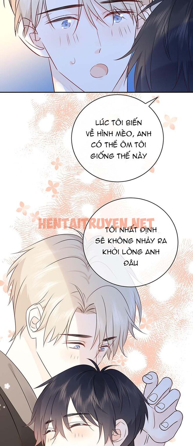 Xem ảnh Dinh Dưỡng Quá Tốt - Chap 46 - img_031_1676023663 - HentaiTruyenVN.net