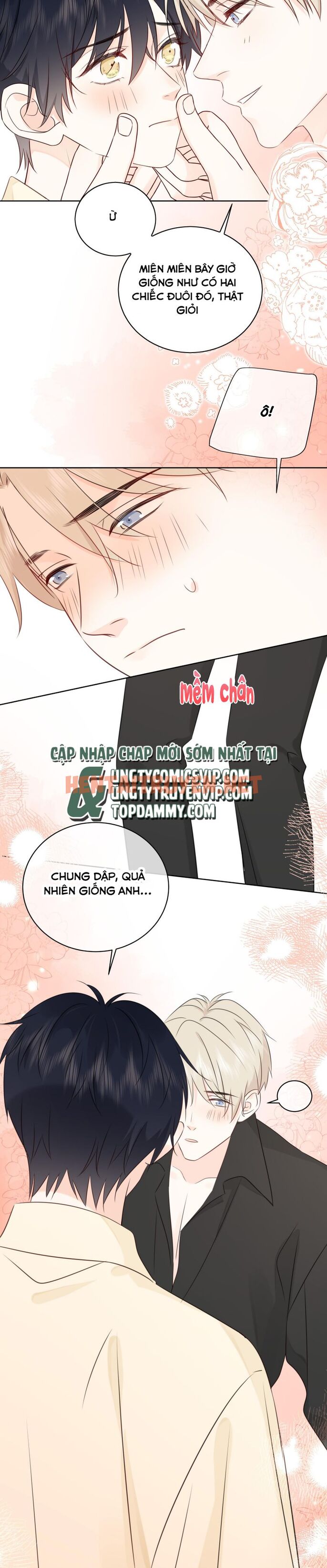 Xem ảnh Dinh Dưỡng Quá Tốt - Chap 50 - img_020_1678439582 - HentaiTruyenVN.net