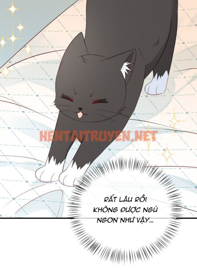 Xem ảnh Dinh Dưỡng Quá Tốt - Chap 8 - img_018_1646975036 - HentaiTruyen.net