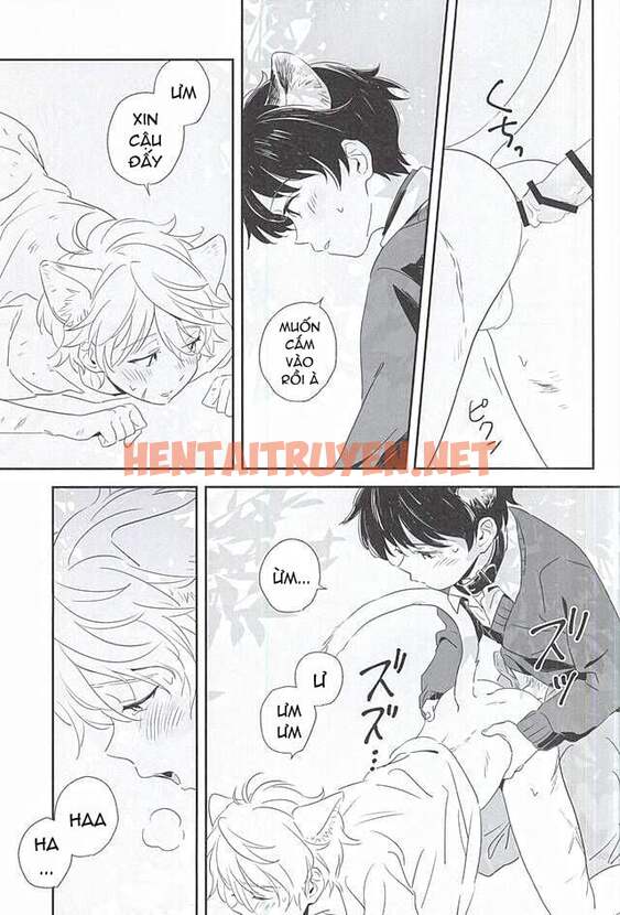 Xem ảnh Động Oneshot Yaoi Nhà Thỏ - Chap 29 - img_016_1658770825 - HentaiTruyen.net