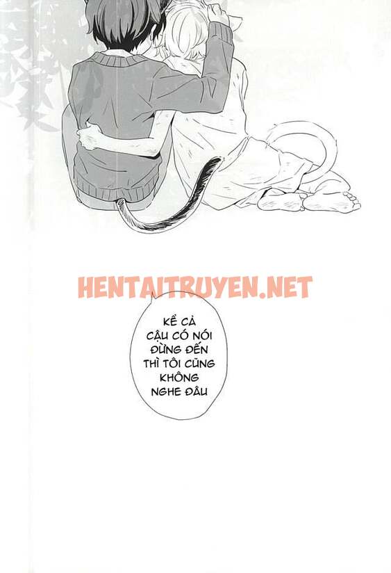 Xem ảnh Động Oneshot Yaoi Nhà Thỏ - Chap 29 - img_023_1658770836 - HentaiTruyen.net