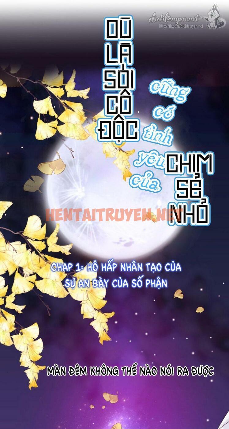 Xem ảnh Dù Là Sói Cô Độc Cũng Có Tình Yêu Của Sẻ Nhỏ - Chap 1 - img_001_1627271158 - TruyenVN.APP