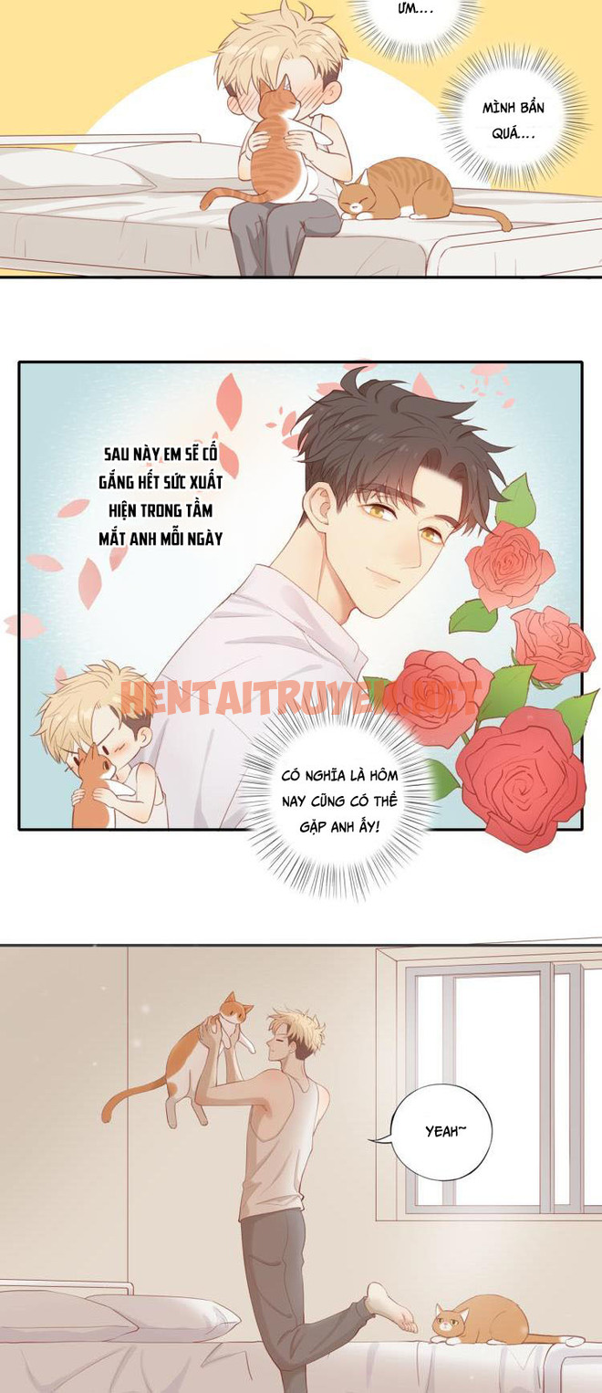 Xem ảnh Em Trai Hàng Xóm Khó Quản Quá - Chap 8 - img_004_1645596968 - HentaiTruyenVN.net