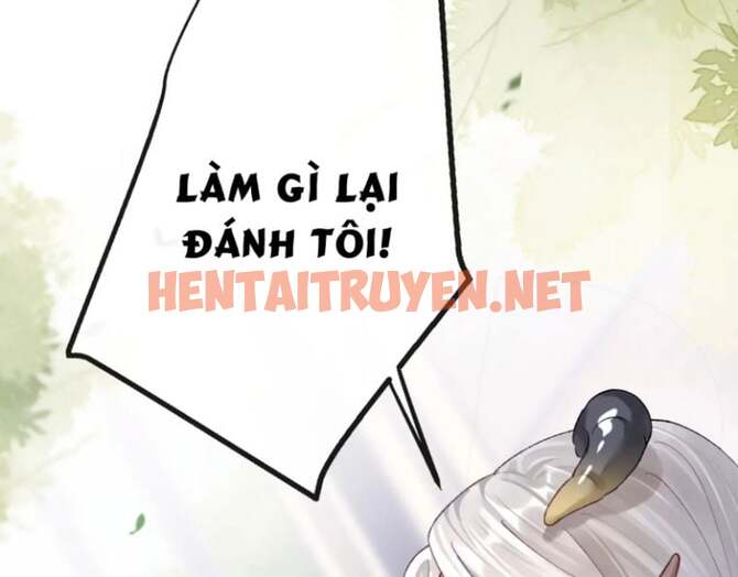 Xem ảnh Giáo Bá Cửu Vĩ Hồ Theo Dõi Ta Lúc Sau - Chap 6 - img_039_1651147516 - HentaiTruyenVN.net