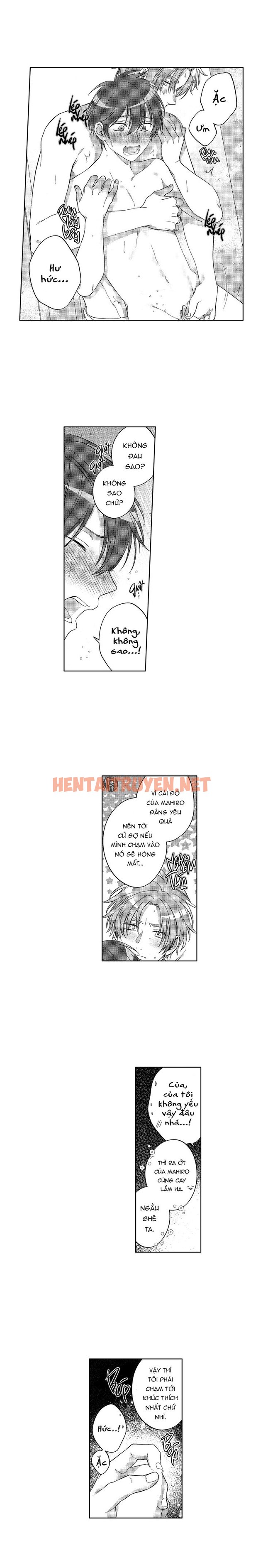 Xem ảnh Gối Ôm Của Hoàng Tử - Chap 8 - img_010_1691337194 - HentaiTruyen.net