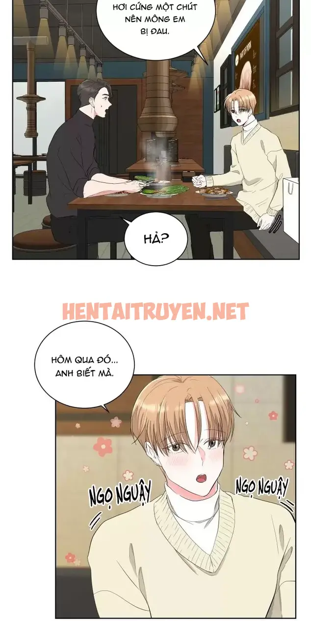 Xem ảnh Họ Đã Ngủ Với Nhau - Chap 4 - img_019_1661218793 - HentaiTruyenVN.net