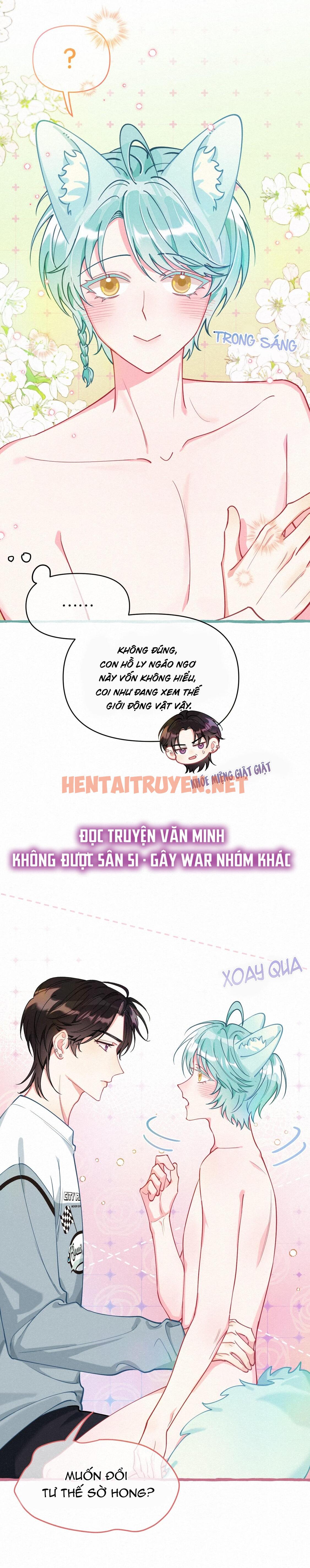 Xem ảnh Hồ Ly Hay Là 